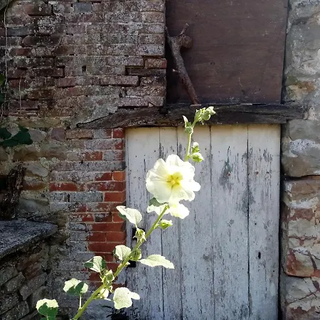 L'ancienne épicerie *