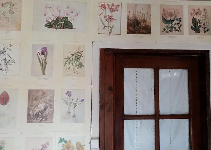 L'ancienne Epicerie Le Cercueil