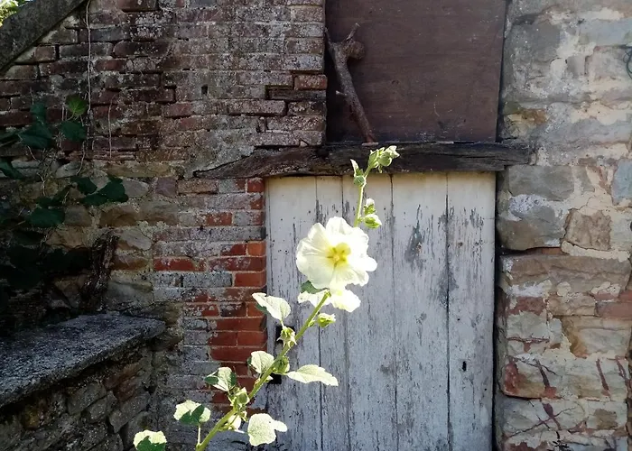 L'ancienne Epicerie *